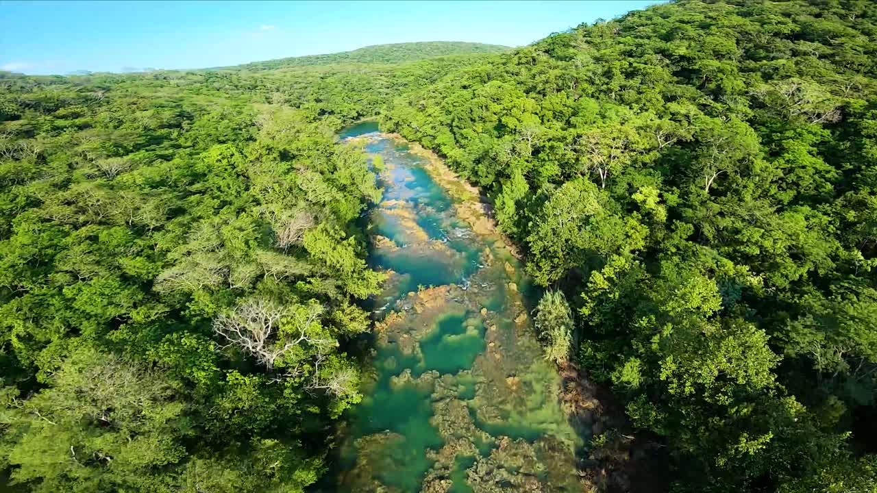 Aerial view of a River