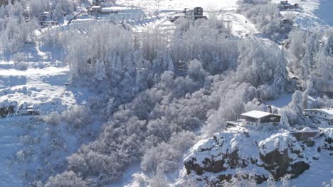 toma aérea de bosque en quebrada nevada