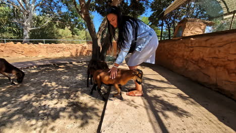 attractive young woman with goats at a petting zoo