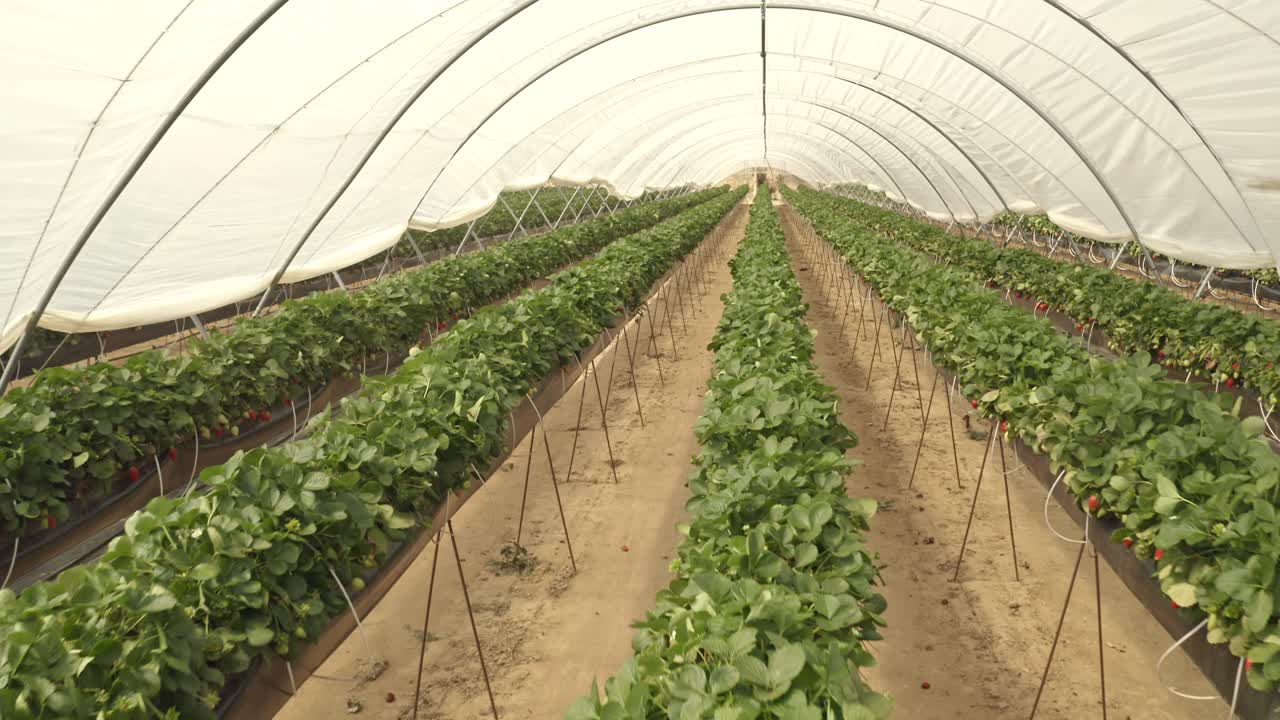 imágenes aéreas de grandes granjas de invernadero en españa