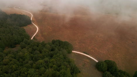 winding dirt road passing by fields and pine tree forest on a foggy morning in tuscany, italy