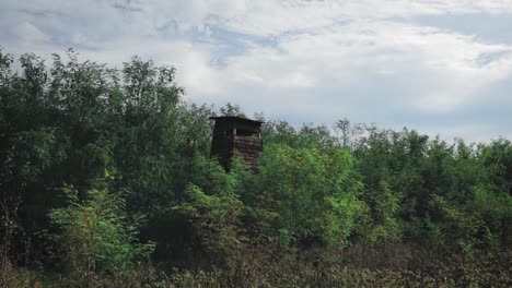 Observatorio-De-Vida-Silvestre-Hecho-En-Madera-En-El-Bosque