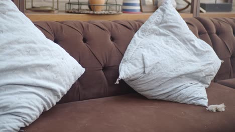 close-up of a brown couch with blue pillows