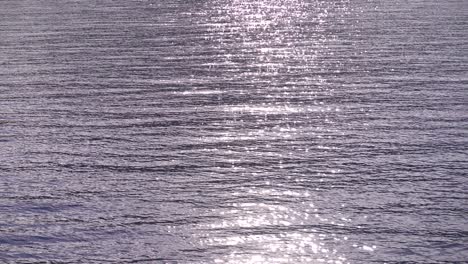 sparkling sun reflections on ocean surface from moving boat