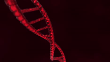 DNA-Double-Helix-Strands-3D-Animation