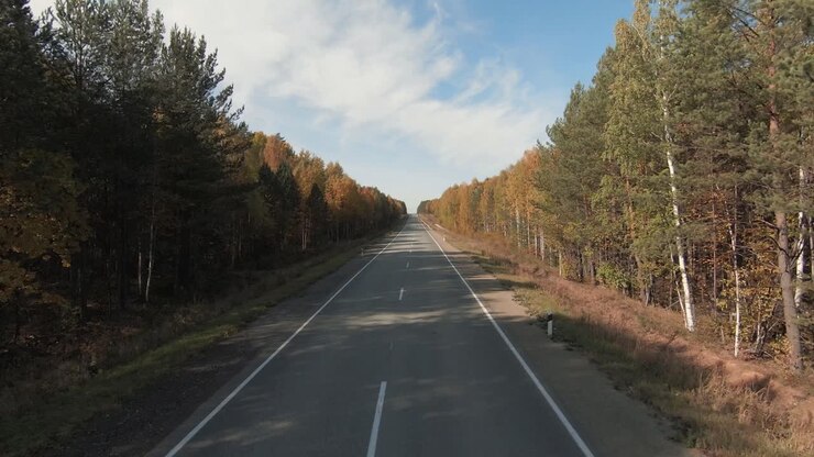 Filmato drone FPV che vola sopra una lunga strada asfaltata vuota che attraversa una colorata foresta autunnale sotto un cielo blu, concetto di viaggio e trasporto panoramico in campagna.
