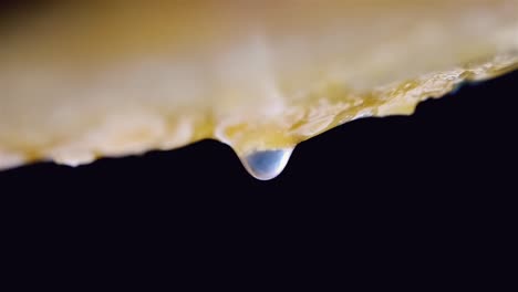 water juice droplet gathers growing and falls down from fruit in slow motion on black background