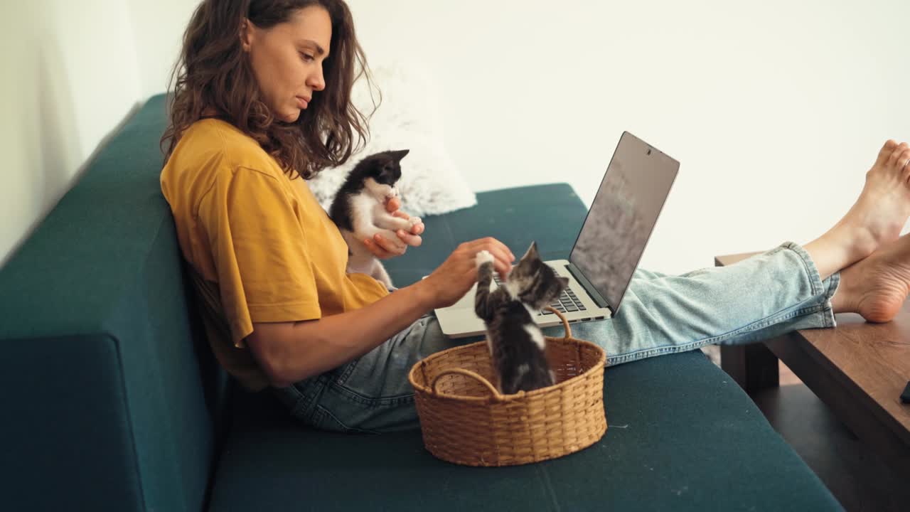 una mujer joven jugando con dos gatitos pequeños mientras trabaja desde casa