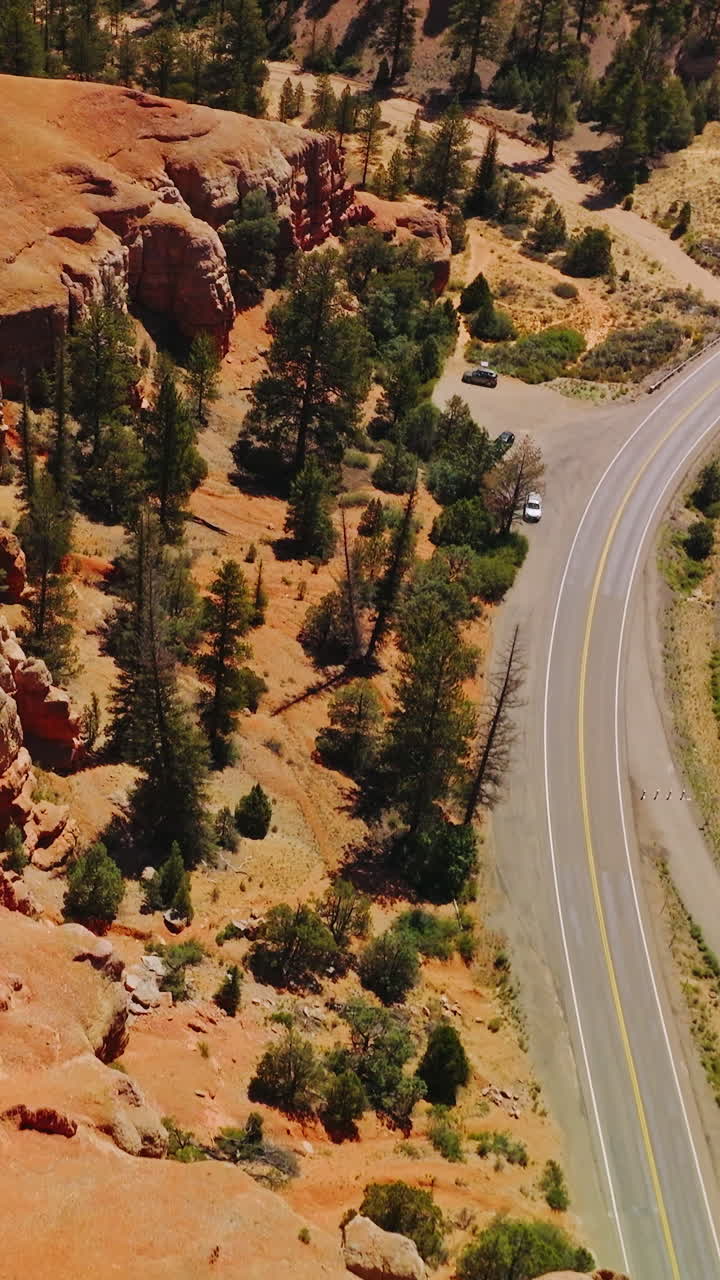 Flight over the orange smooth rounded rocks of Arches Canyons in Utah, USA. Roads and paths through the mountainous overgrown with pine trees. Top view. Vertical video