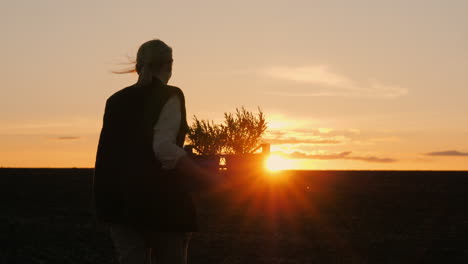 woman farmer carrying plants at sunset