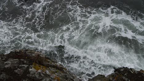 cinematic shot from above of beautiful sea wives finishing their journey to the rocks