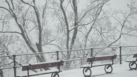 benches, railing, and trees on the viewing platform in the park are covered with the blanket of light first snow