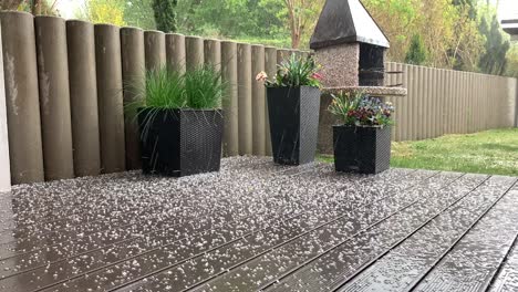 a hailstorm comes down in a garden