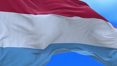 seamless loop of luxembourg flag.