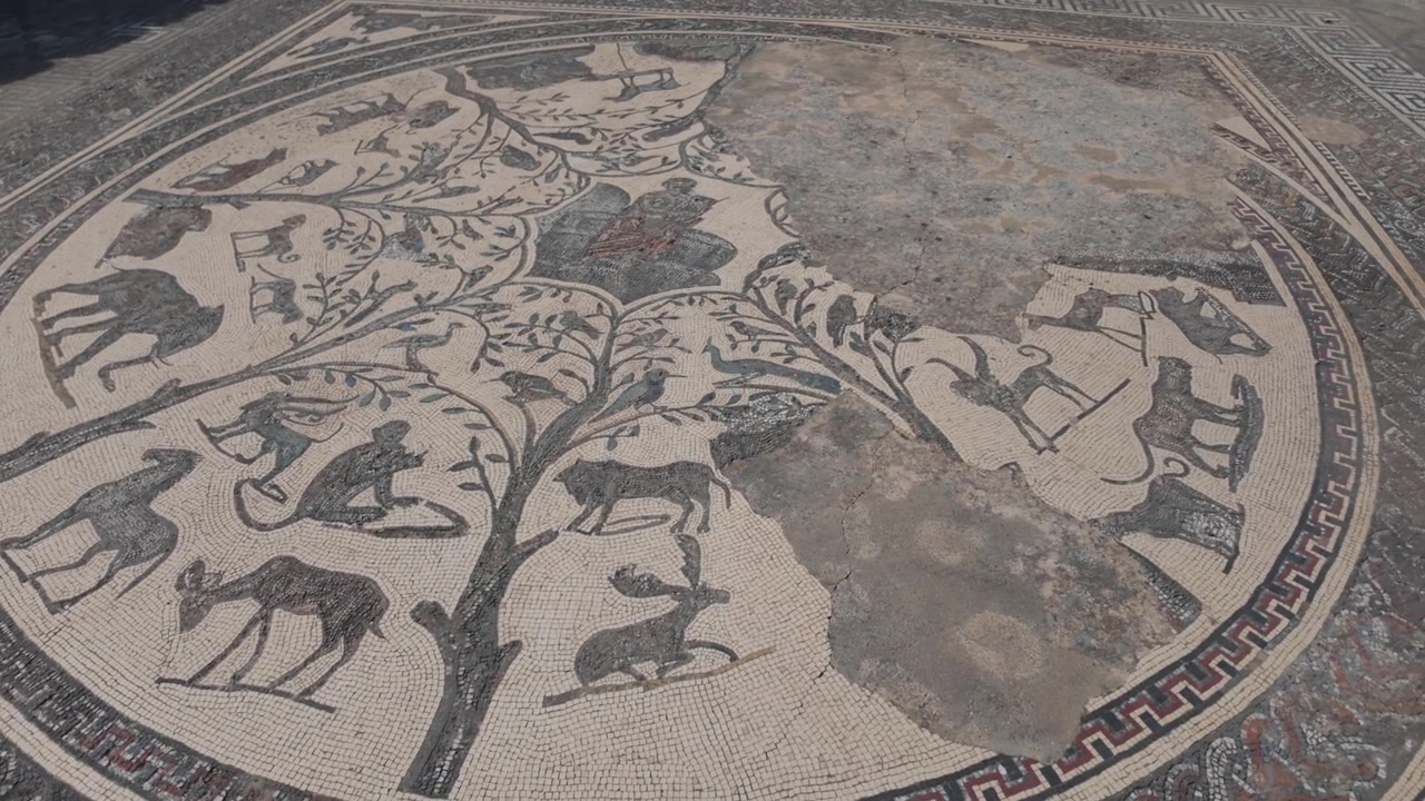 Vista a livello del suolo di un mosaico romano di animali straordinariamente conservato presso il sito archeologico di Volubilis in Marocco, patrimonio UNESCO, che mostra intricate immagini di fauna selvatica e antica maestria artigianale.