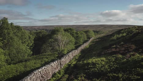 Trockenmauer,-Die-Die-Grenze-Zwischen-Offenem-Moorland-Und-Wald-Und-Feldern-Unten-Markiert---Fryupdale-In-Den-Mooren-Von-North-York