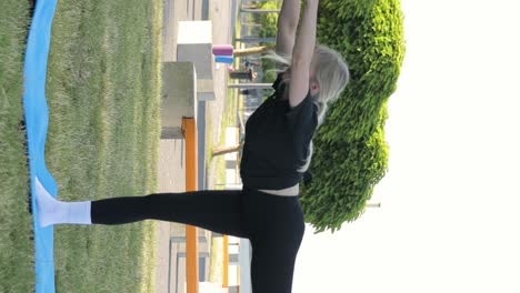 young woman yogi athlete doing yoga in park on green lawn exercising young woman yogi athlete doing yoga in park on green lawn exercising keeping leg in air acrobatic element actively stretching body
