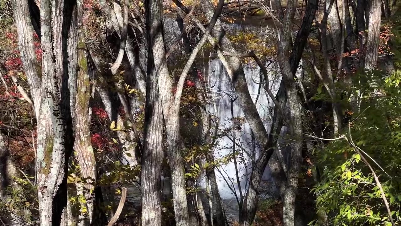 Cascata che scende tra gli alberi con riflessi del sole.