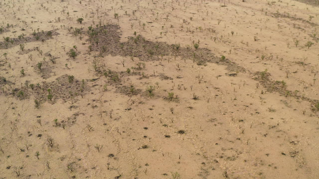 Aerial View of Arid Landscape with Sparse Vegetation