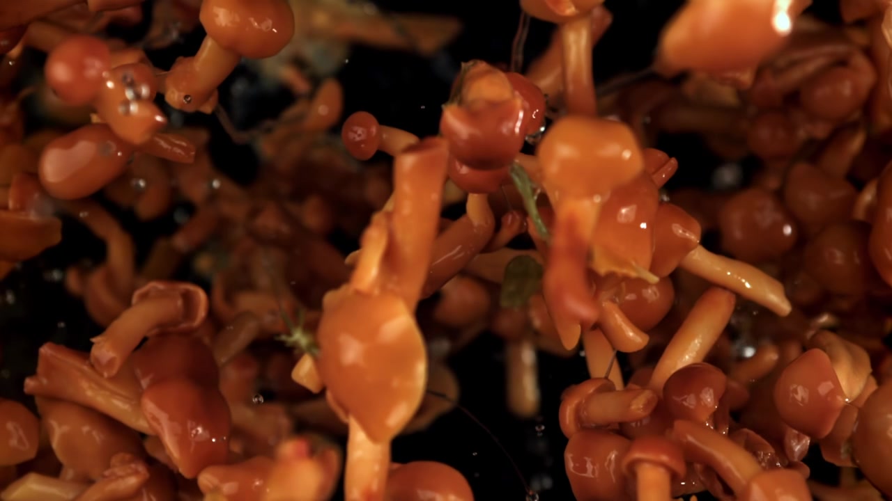 Funghi freschi che cadono con goccioline d'acqua in super slow motion.