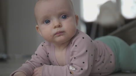 closeup of blue eyed baby girl on floor observing the world looking straight at camera