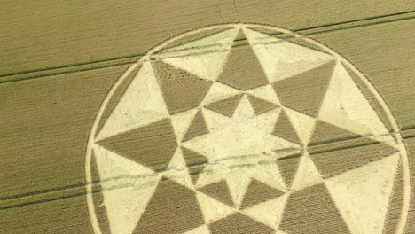 aerial view descending towards micheldever 2023 star shaped crop circle formation on golden hampshire wheat field