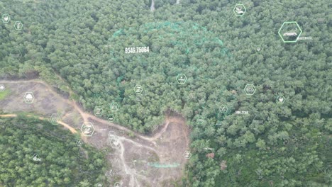 Green-forest-aerial-view-and-environmental-technology-concept