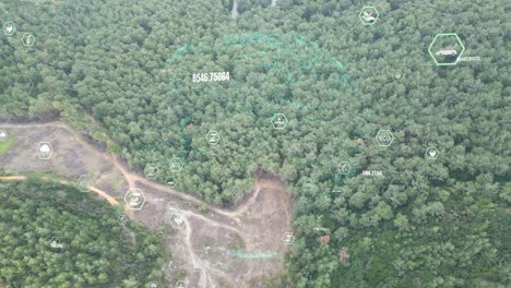Green forest aerial view and environmental technology concept