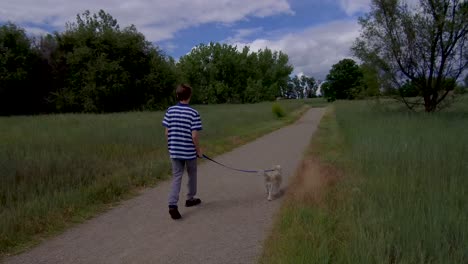 Teenager-Junge,-Der-Süßen-Hund-Auf-Einem-Naturlehrpfad-Spaziert