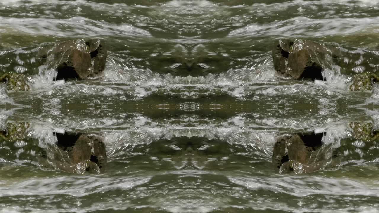 caleidoscopio de tomas de la naturaleza, wissahickon creek