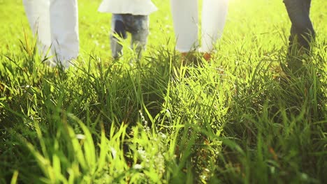 family walking in a field