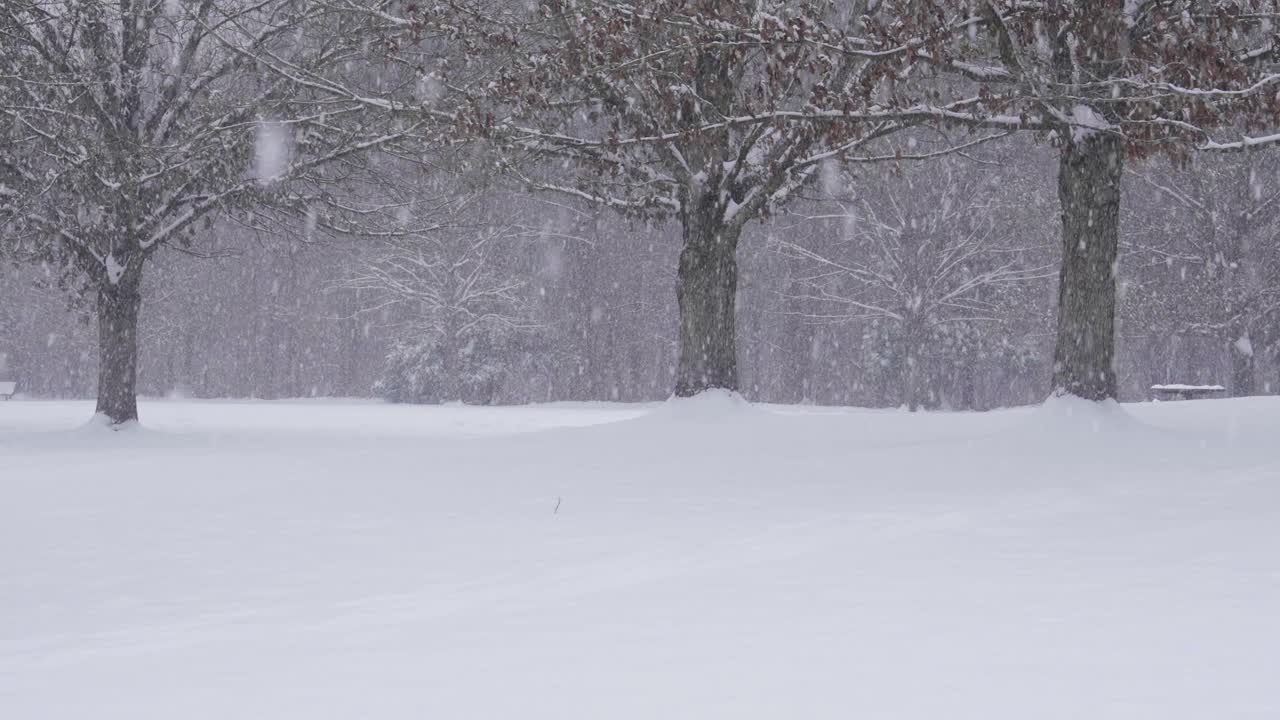 A snow covered park in Atlanta, Georgia on January 10th, 2025.
