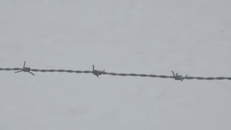 close pan over barbed wire with snow in the background