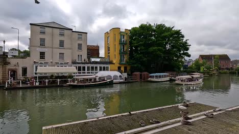 boats docked by buildings along the river