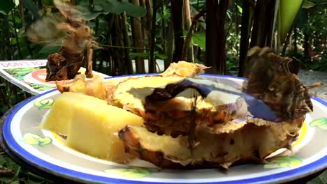 Slow-Motion-shot-of-a-Royal-Blue-butterfly-and-others-taking-flight-from-a-pinneapple-fruit-plate-greenery-in-the-background