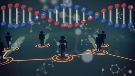 animación de la cadena de adn girando con personas iconos y red de conexiones