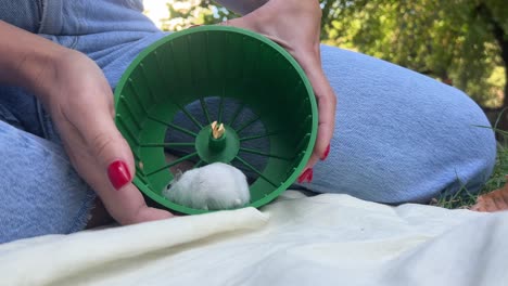 mujer sosteniendo un hámster en una rueda de correr al aire libre