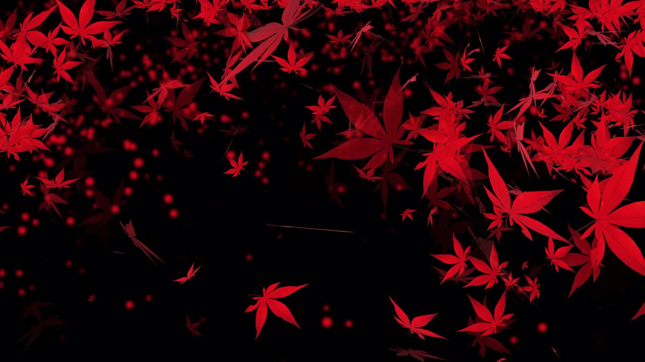 가을 메이플 잎 입자 애니메이션