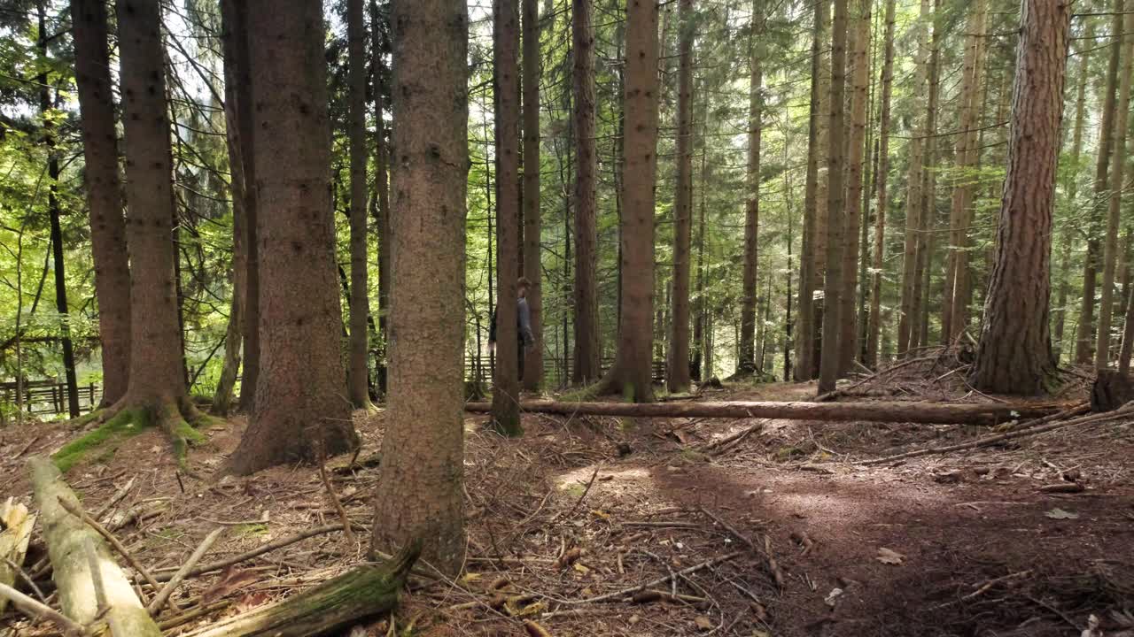 Uomo che cammina attraverso la Gola di Pokljuka in Slovenia in primavera nel Parco Nazionale del Triglav-12