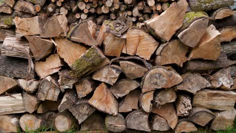 A well stocked outdoor pile of firewood