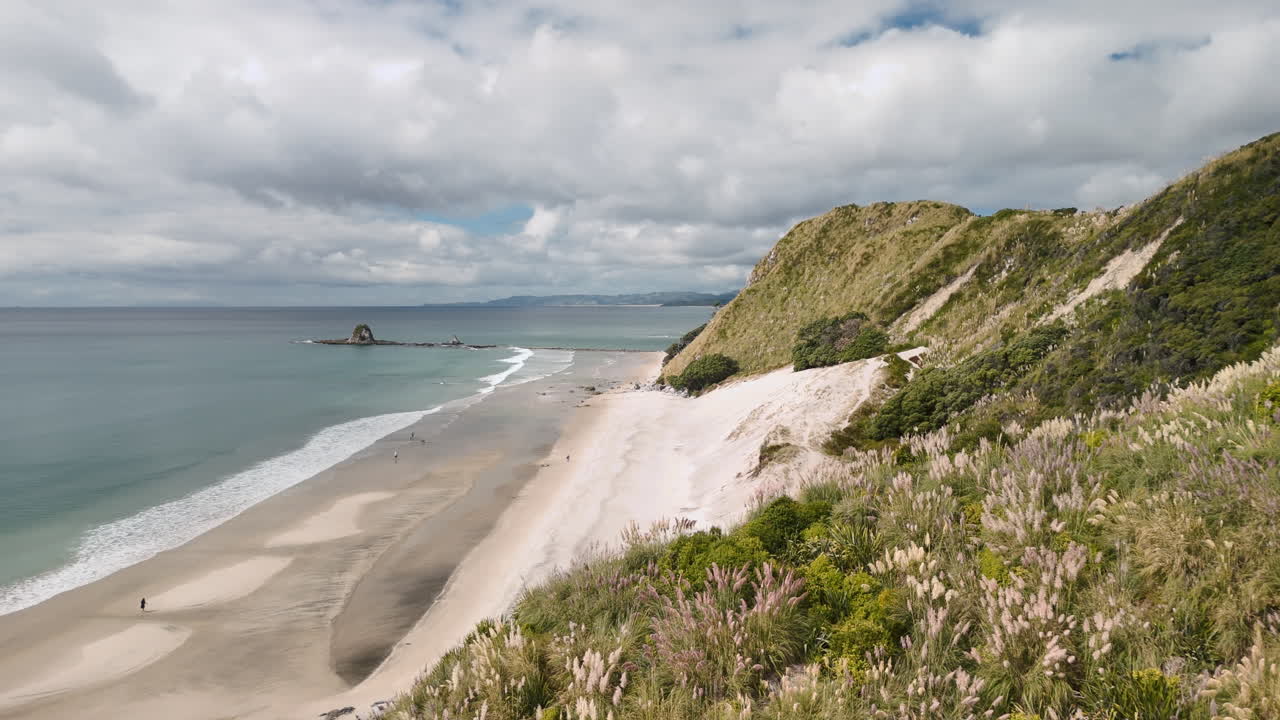 Beautiful New Zealand Beach Landscape