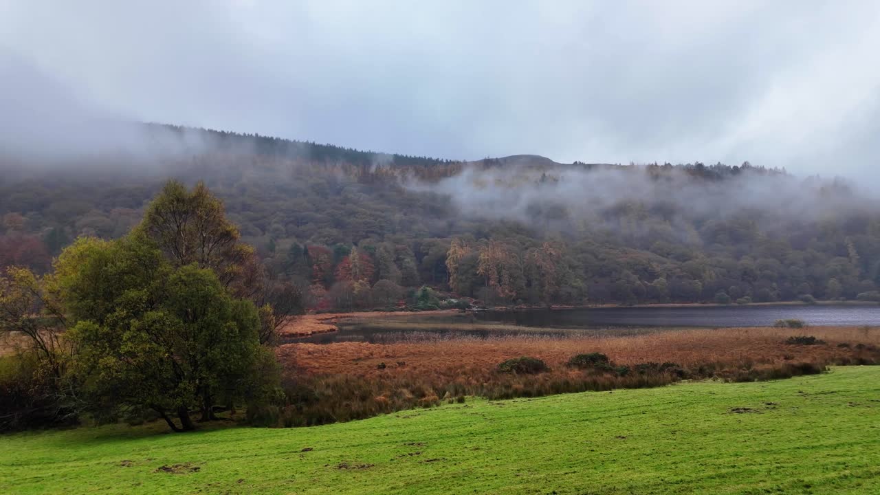아일랜드의 서사시적인 장소: 위클로에서 서사시적 겨울 풍경, 글렌달로에서 숲과 호수 위에서 낮은 구름