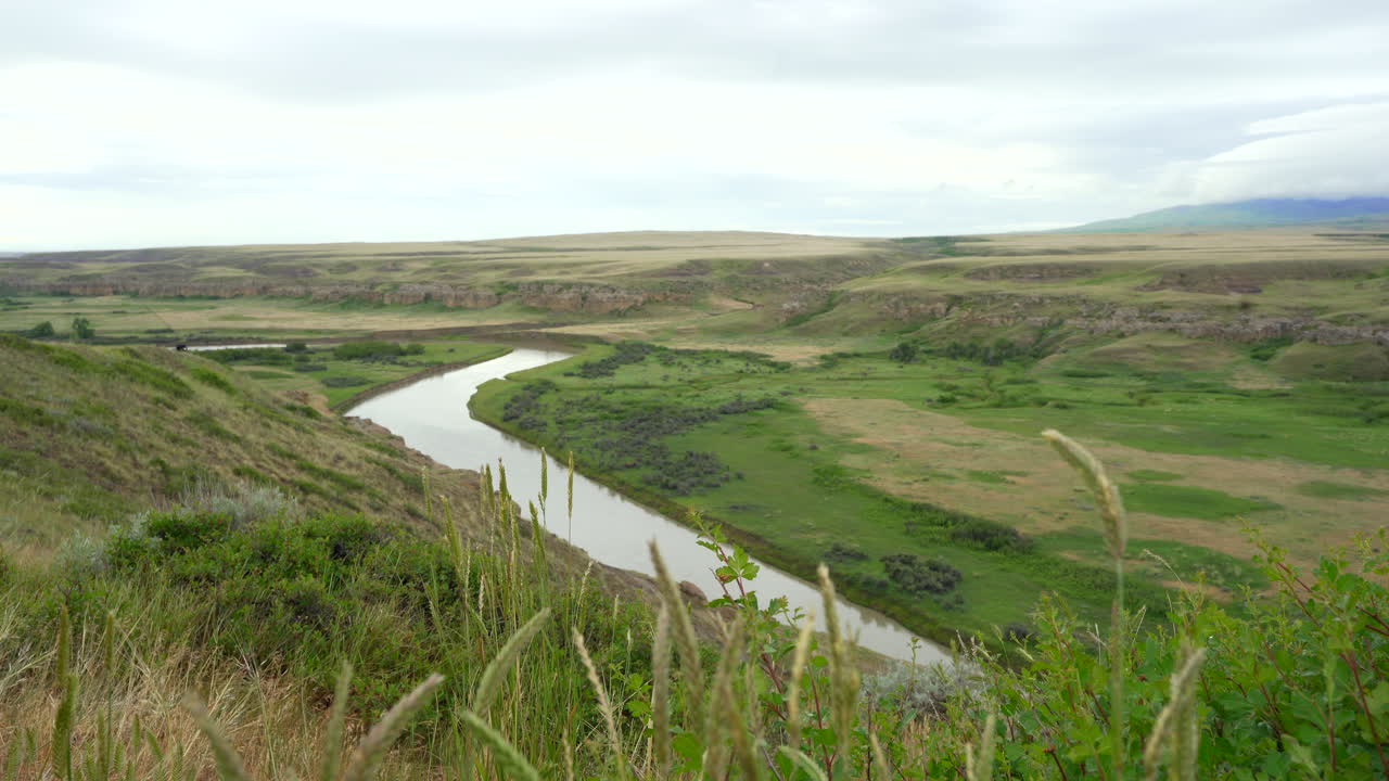 escribiendo en los parques provinciales de piedra bandlands y hoodoos con río en un desierto en alberta, canadá durante el día nublado con hierba