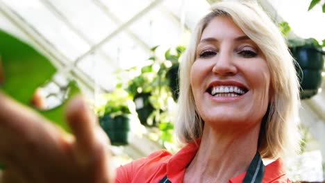 mujer madura comprobando la planta