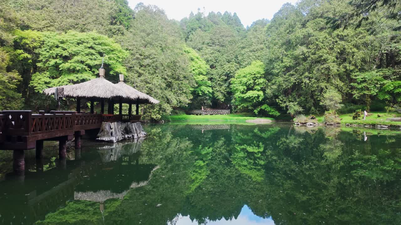 Peaceful ponds in Alishan with lush trees and serene reflections
