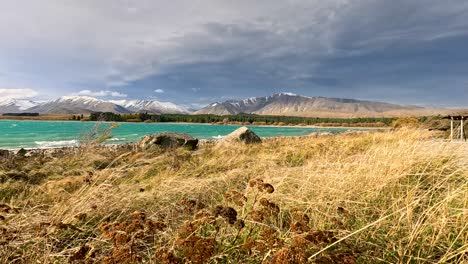 wind-swept grasses and thorny plants line the rocky shore of a turquoise lake, as the camera pans to reveal dramatic mountains and stormy skies