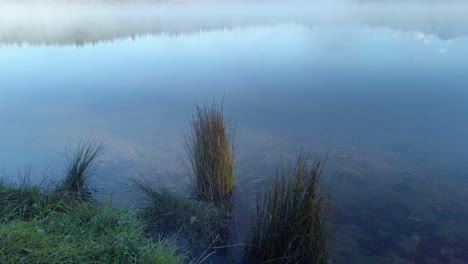 la orilla del lago de hierba húmeda a la niebla de inclinación enid columbia británica canadá