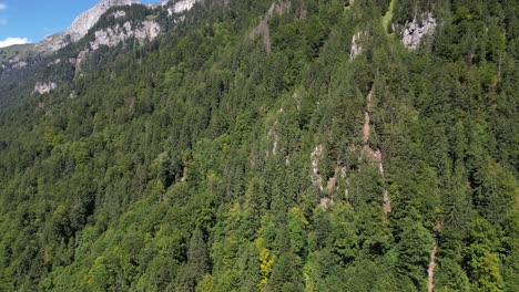 Montaña-Muy-Empinada-Cubierta-Por-árboles-Que-Crecen-En-Una-Posición-Inusual-Y-Mantienen-Colinas-Rocosas-Rectas-Para-Que-Los-Turistas-Valientes-Exploren-Este-Hábitat-Natural-Del-Que-Hemos-Sido-Separados.