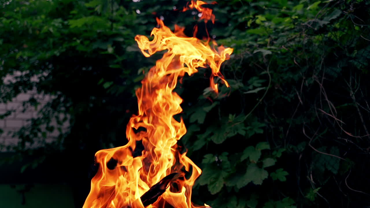 Burning bonfire in the forest. Burning Wood. Slow motion