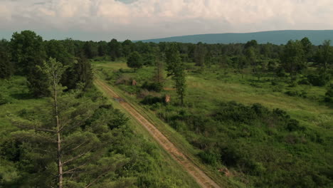 dirt road leading into wooded area from field, aerial, pan left, slow motion